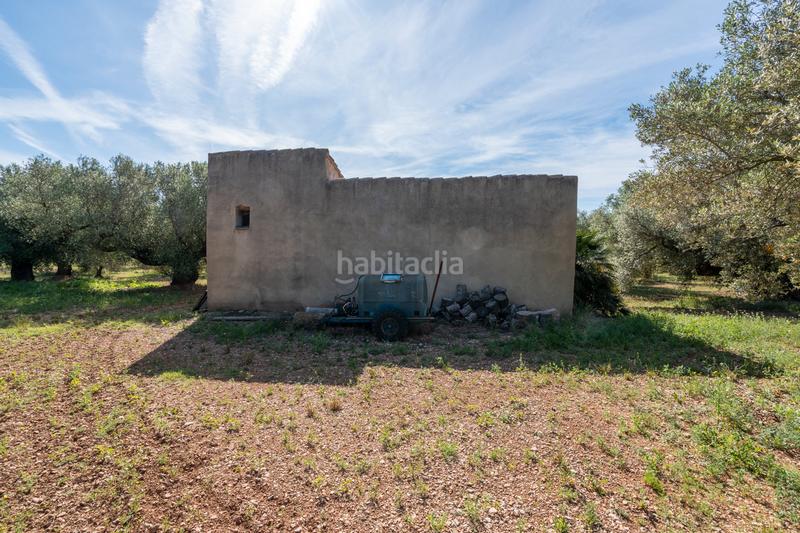 Foto d81db186-df34-47ed-bde9-2f5d3ad18122. Propriété dans camí de terrapico 21 dans Roquetes