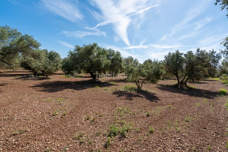 Foto deab4dd0-bbc0-4309-b050-b7d170efc369. Propriété dans camí de terrapico 21 dans Roquetes