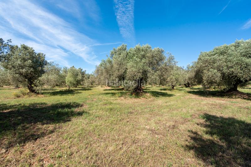 Foto df530cca-316d-42a8-9e5e-355c62812ac6. Propriété dans camí de terrapico 21 dans Roquetes