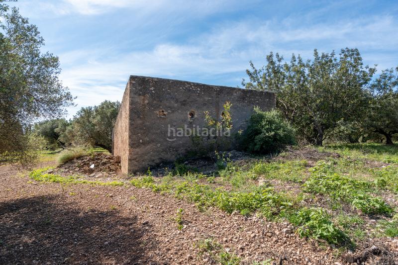 Foto e12bd7c8-1f01-41e1-ab4b-d583cf2bd495. Propriété dans camí de terrapico 21 dans Roquetes