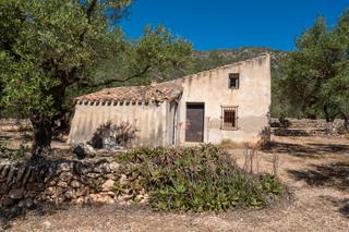 Rural plot in N/a. Finca rústica de olivos con casa de campo para reformar