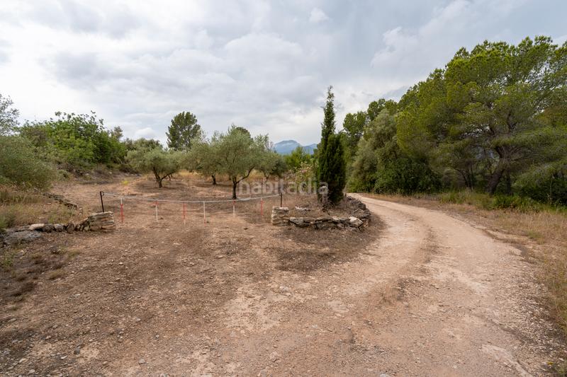 Foto 138194de-1c60-40f0-9aef-c6e52eb39e04. Landgut in carrer barceloneta 46 in Aldover