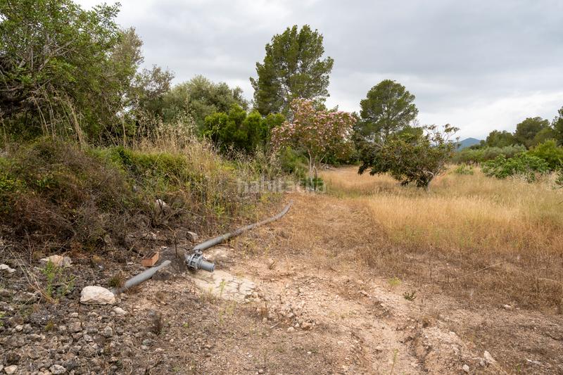 Foto 1478c1f4-f863-4df1-bd94-50417173ab75. Landgut in carrer barceloneta 46 in Aldover