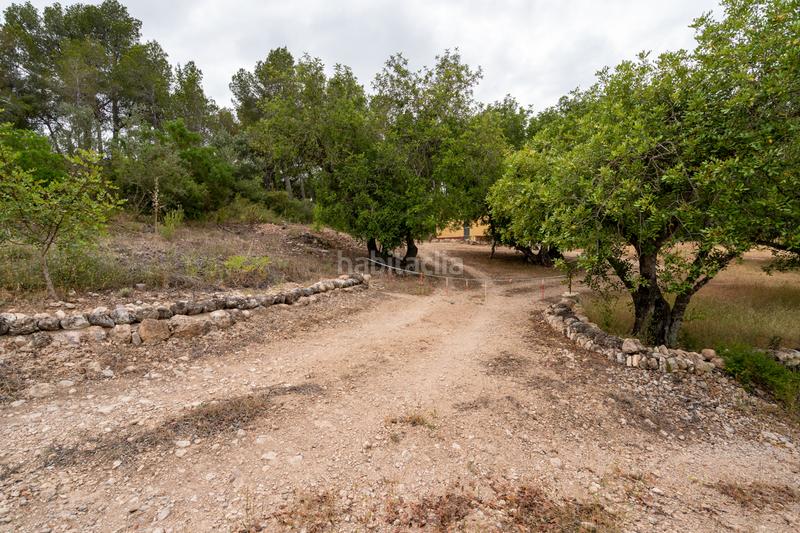 Foto 38437832-016b-4dda-bc8f-b3934ede34c1. Landgut in carrer barceloneta 46 in Aldover