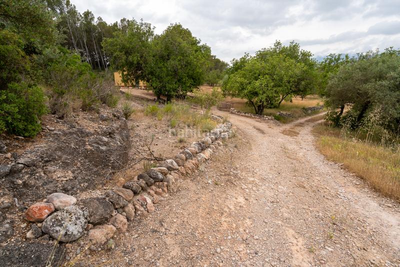 Foto 84d63176-e239-4e72-bf1f-c3909db3be29. Landgut in carrer barceloneta 46 in Aldover