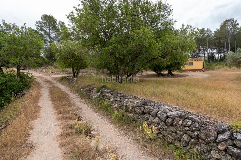 Foto 9aaaaa3e-f3f1-4179-b00d-a73eeaa97d7c. Landgut in carrer barceloneta 46 in Aldover