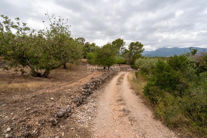 Foto 9e59196b-d00f-4171-94fa-b73a6607057f. Landgut in carrer barceloneta 46 in Aldover