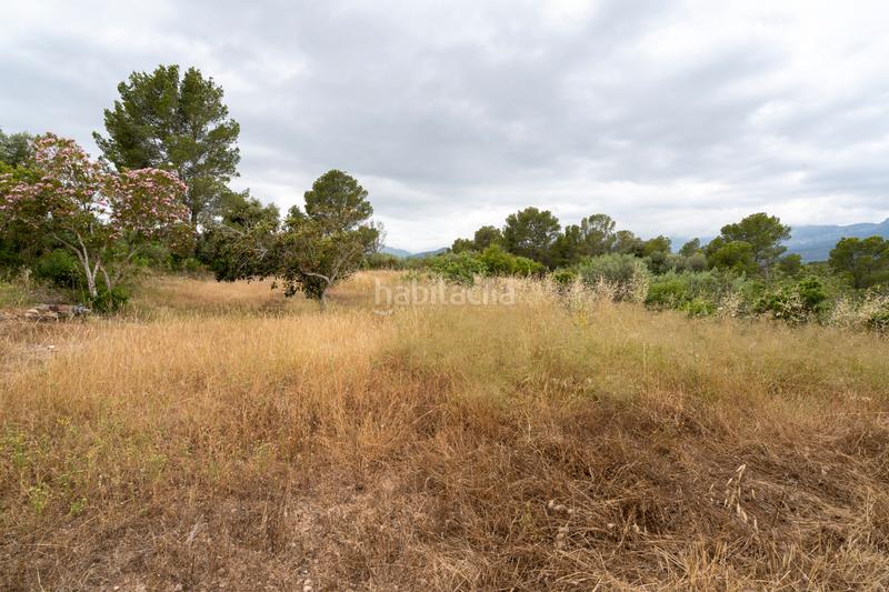 Foto aa9080bd-09c3-4802-8d5d-a5a4cf846f48. Landgut in carrer barceloneta 46 in Aldover