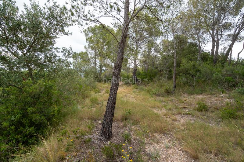 Foto b6f5bb1c-9c60-467c-abdf-ebc0fdb5d2ce. Landgut in carrer barceloneta 46 in Aldover