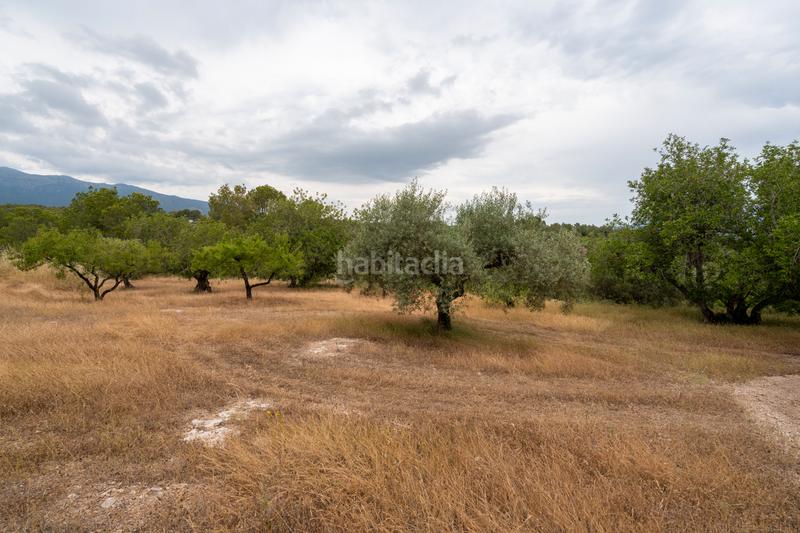 Foto b9c8fdff-c68a-4fbf-a83d-a0dbc39d3155. Landgut in carrer barceloneta 46 in Aldover