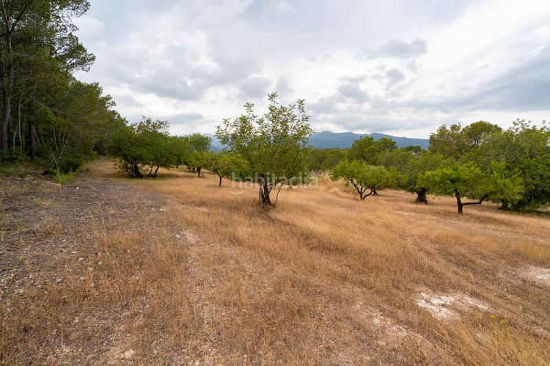 Foto e5422139-9be0-4fcd-8009-c37cc856464b. Landgut in carrer barceloneta 46 in Aldover