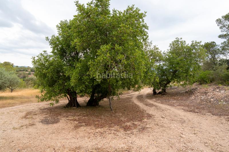 Foto e770a3ef-4b96-4d60-820d-d10f9001b208. Landgut in carrer barceloneta 46 in Aldover