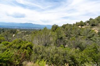 Landgut in Camí dels corrals de la riba 9. Finca rústica sin edificación y bonitas vistas