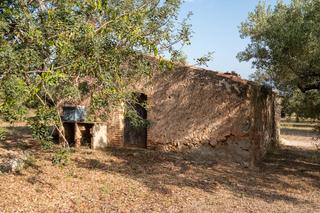 Rural plot in Tv-3421 20. Finca de olivos de secano con casita de campo