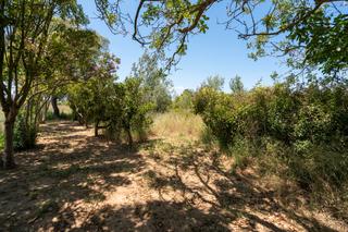 Finca rústica a N/a. Huerto de 2500 m2 cerca del río ebro