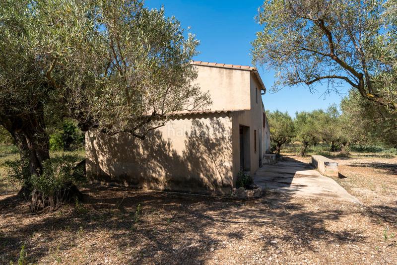 Foto 42c95a2d-a836-4f11-b95f-3c8a64e046b9. Landgut in tv-3421 24 in Roquetes