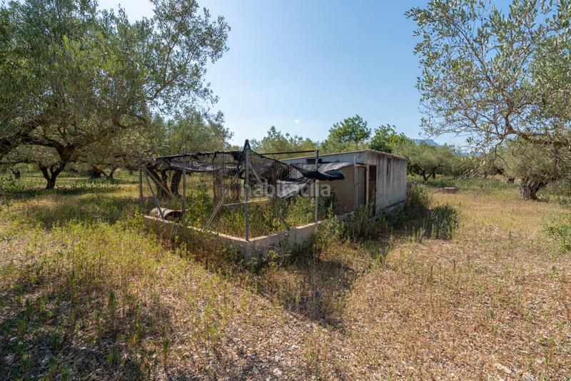 Foto 5f0fda0b-c0ed-48c5-9cf6-4c7ba7ed06eb. Landgut in tv-3421 24 in Roquetes