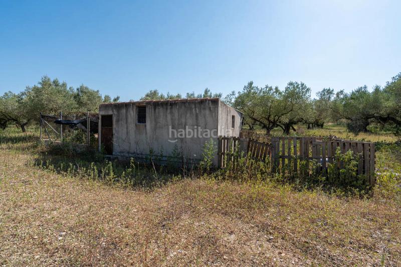 Foto 77d8ca29-8cd0-4f11-876b-246e5cf10189. Landgut in tv-3421 24 in Roquetes