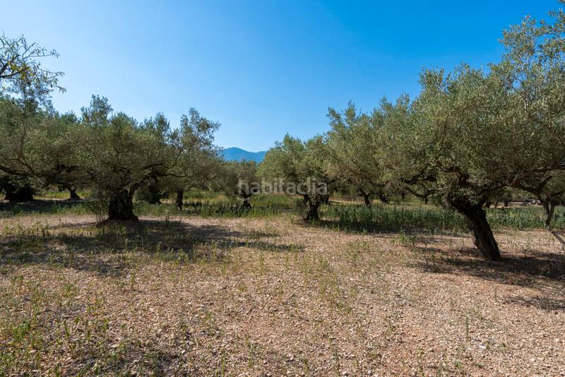 Foto da37fdfe-261b-404a-88b6-07ab6ee0951c. Landgut in tv-3421 24 in Roquetes