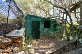 Rural plot in N/a. Finca rústica de olivos con pequeña edificación