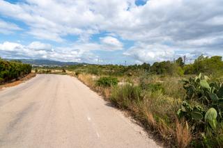 Finca rústica a Camí d'en sedó 6. Finca rústica de 3 hectáreas con agua de riego
