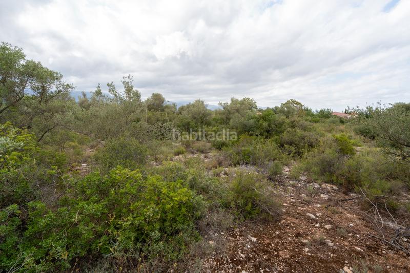 Foto 04d214ca-b752-4dd2-b507-b60d42a316c7. Propriété dans n/a dans Vinallop Tortosa