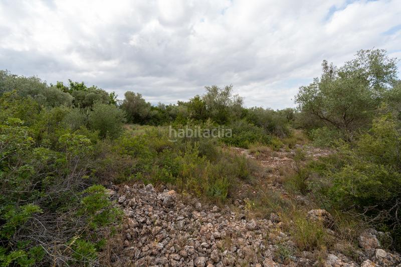 Foto 44c9f406-02f1-4ebd-8919-1ba87f8d3468. Propriété dans n/a dans Vinallop Tortosa