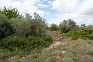 Landgut in N/a. Finca rústica de 9000 m2 con agua de pozo comunitario