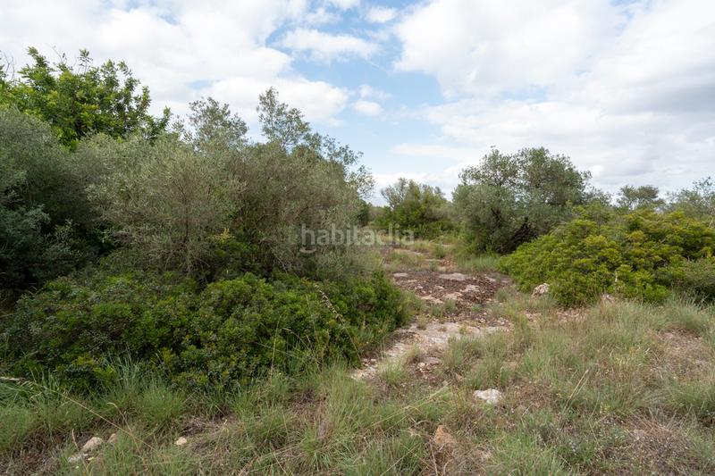 Foto 49cacb82-0a46-4beb-b7be-a4ac73d29331. Propriété dans n/a dans Vinallop Tortosa