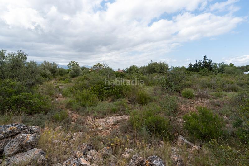 Foto dfcc51d2-e205-4df3-993d-a9748990ee89. Propriété dans n/a dans Vinallop Tortosa