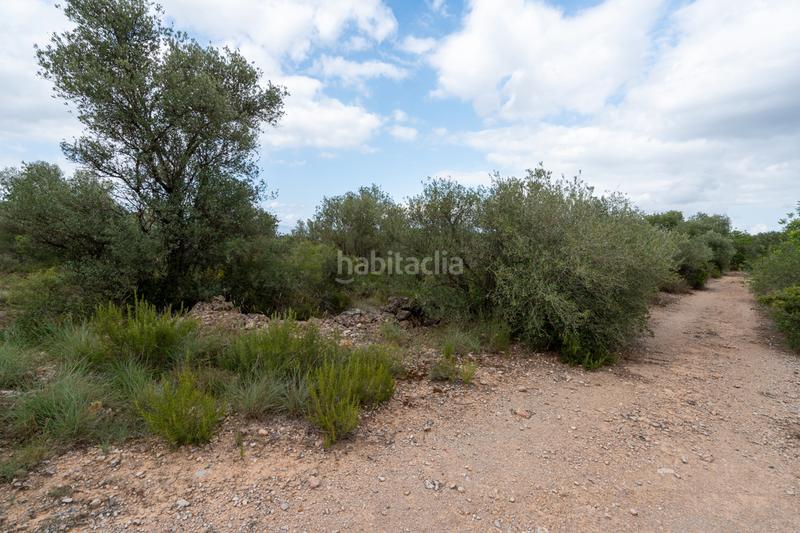 Foto ff7e7d01-db11-4cd2-8915-01588aa031e4. Propriété dans n/a dans Vinallop Tortosa