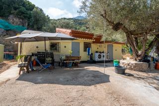 Masía en N/a. Gran finca con olivos y vivienda unifamiliar con agua y luz