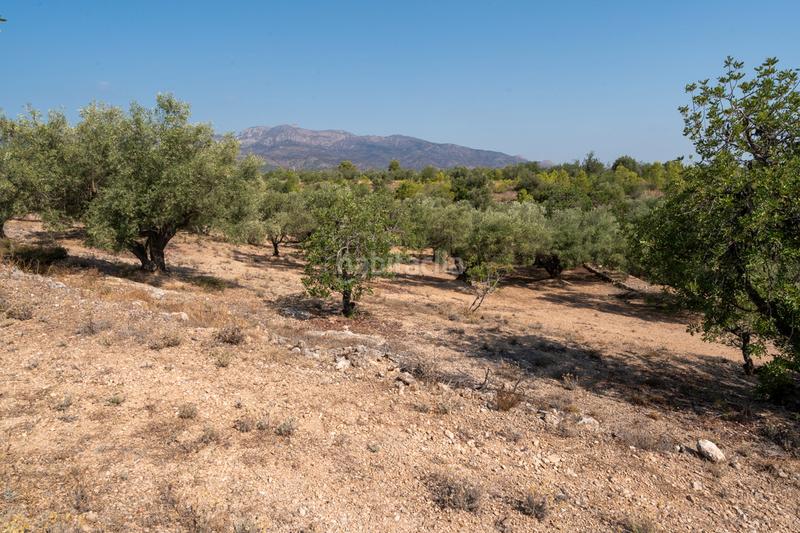 Foto 38b74c9c-3022-4867-8be1-857eeb7598db. Propriété dans carrer barceloneta 15 dans Aldover