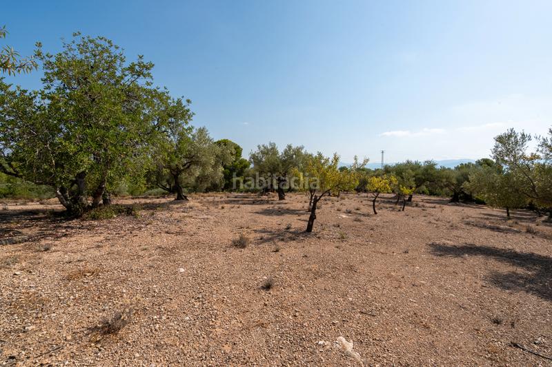 Foto 3df4df8e-5123-40f5-9988-6f1005c90163. Propriété dans carrer barceloneta 15 dans Aldover