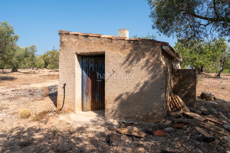 Foto 578fe178-3967-406a-bc20-105902dcb33c. Propriété dans carrer barceloneta 15 dans Aldover