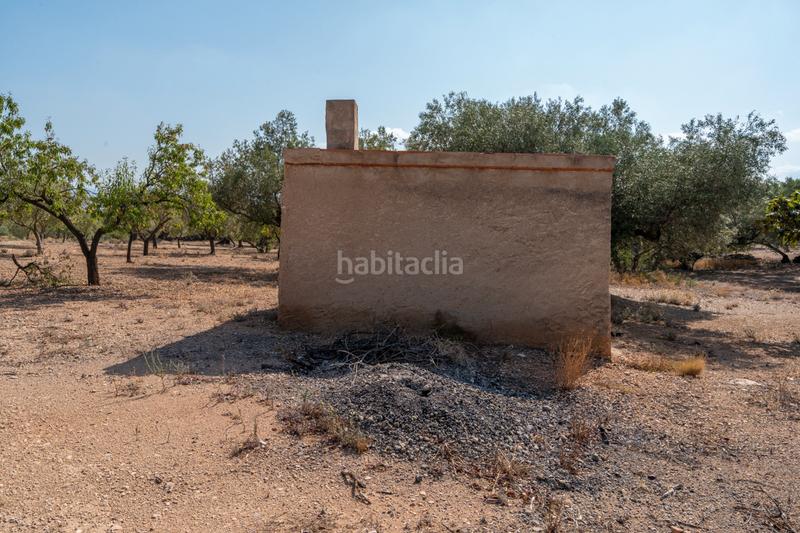 Foto 5f618428-171c-453a-8b5b-2fe91f62bb69. Propriété dans carrer barceloneta 15 dans Aldover
