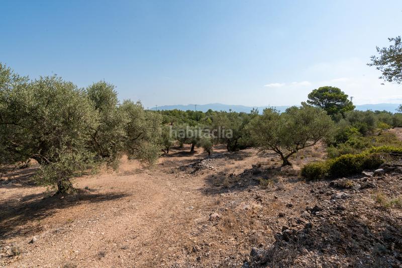 Foto 8564dabd-c98c-4389-9c09-9fa2a9947375. Propriété dans carrer barceloneta 15 dans Aldover