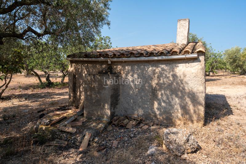 Foto d8cb4972-6744-4b38-b714-7a56a2972851. Propriété dans carrer barceloneta 15 dans Aldover