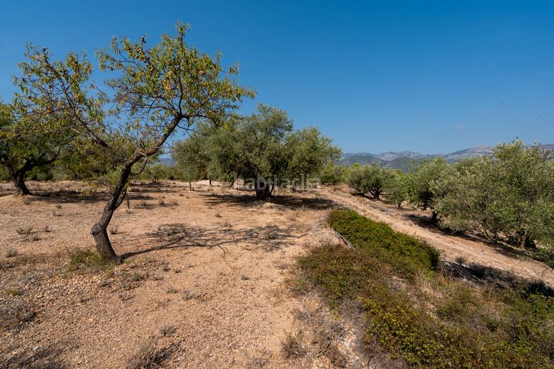 Foto dd35f824-dfbd-47e8-b44e-0a7de1a25c8b. Propriété dans carrer barceloneta 15 dans Aldover