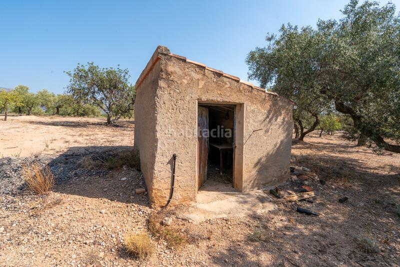 Foto de565d44-0574-4f19-8371-a6711d998523. Propriété dans carrer barceloneta 15 dans Aldover