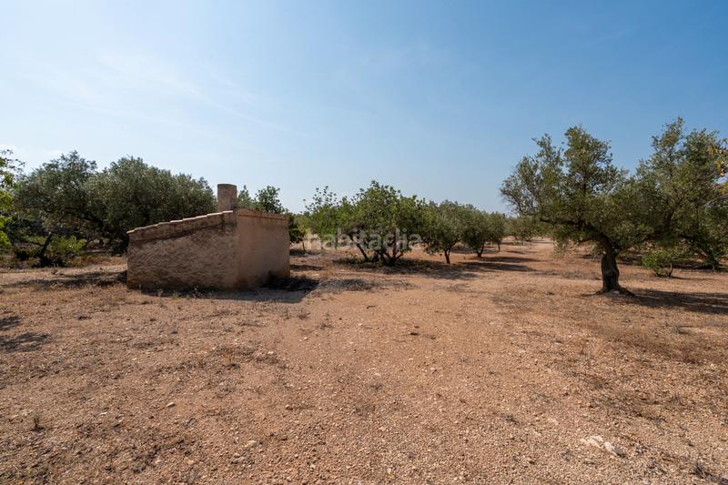 Foto e27c0307-04a1-4e7f-a272-f71b05a9f2a7. Propriété dans carrer barceloneta 15 dans Aldover
