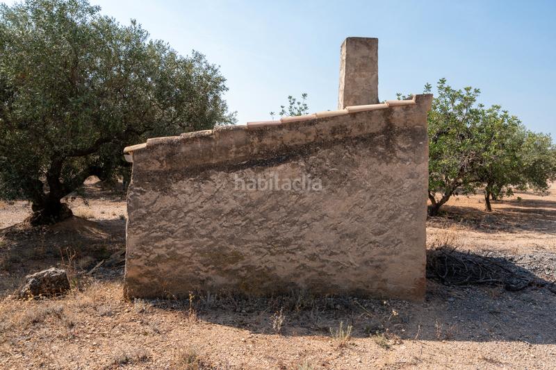 Foto fde44a5c-8ff6-4346-a2d9-1772e1ce7c3c. Propriété dans carrer barceloneta 15 dans Aldover