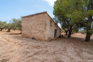 Fondo rustico in N/a. Finca rústica y llana con casa de aperos