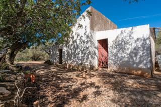 Finca rústica  Partida vinaixarop 10. Finca rústica de olivos con casa de aperos en lugar estratégico