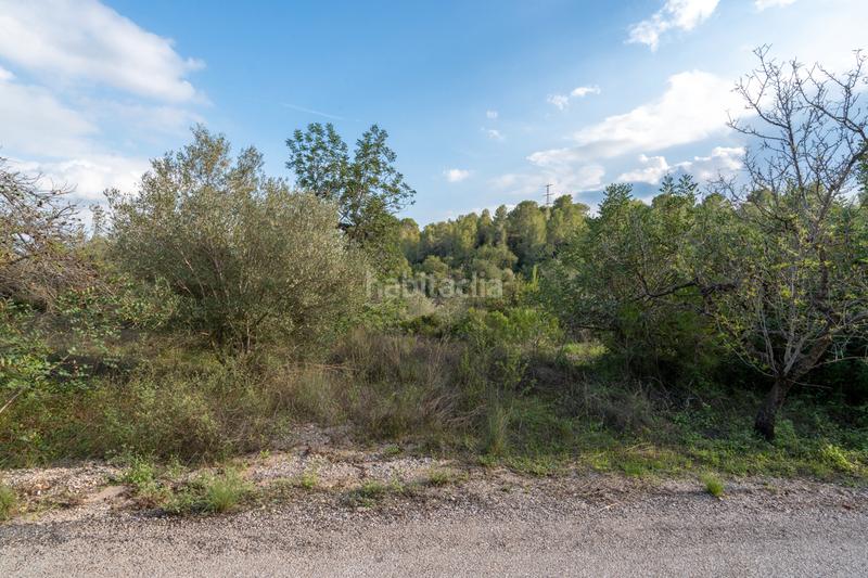 Foto 660f1c20-83d3-4e98-9b15-29d4534fd6fa. Rural plot in camí vell del cementiri 1 in Jesús - Els Reguers Tortosa