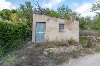Rural plot  Camí vell del cementiri 1. Finca rústica con pequeña casita de aperos con agua de riego
