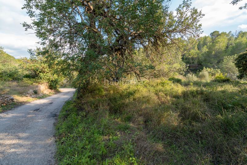 Foto 8ed50234-ea24-4042-b823-e3a17b9f3530. Rural plot in camí vell del cementiri 1 in Jesús - Els Reguers Tortosa