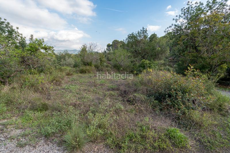 Foto a1e15f39-0d5b-4d5d-b884-df95195e1323. Rural plot in camí vell del cementiri 1 in Jesús - Els Reguers Tortosa