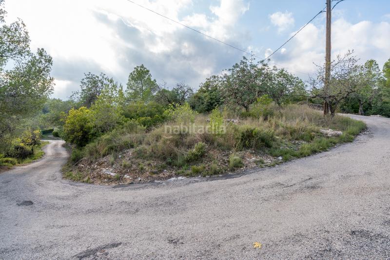 Foto a6cd480f-9cc1-4f45-ac7b-e8aee26258a5. Rural plot in camí vell del cementiri 1 in Jesús - Els Reguers Tortosa