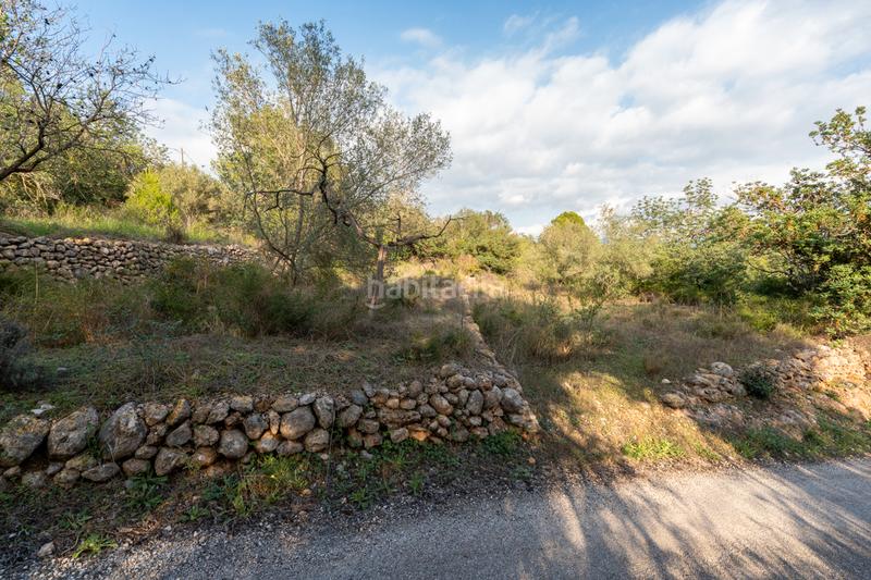 Foto f37cd5d3-d1ad-4eab-b054-4b60ac77f857. Rural plot in camí vell del cementiri 1 in Jesús - Els Reguers Tortosa